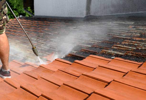 Best Pressure Washing Company Near Me  in Ronan, MT